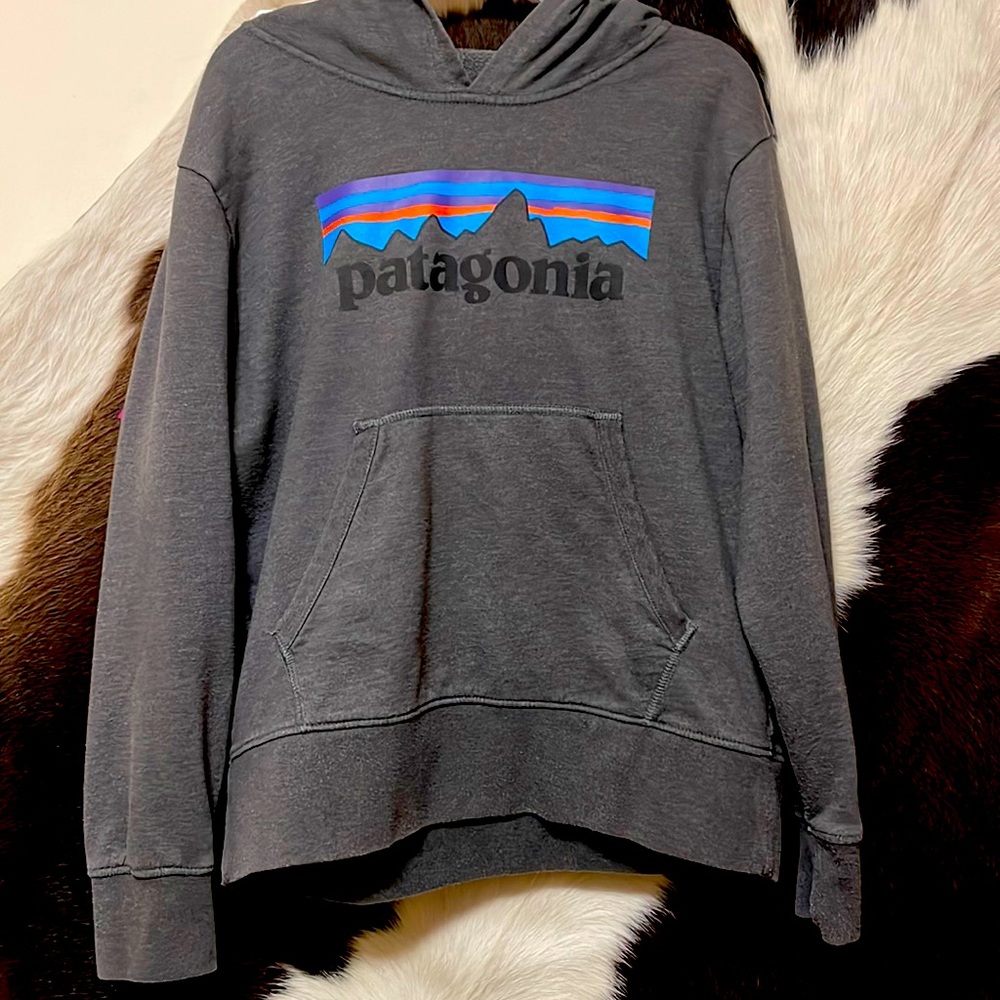 Patagonia Hoodie
